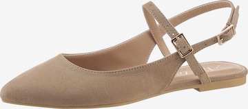 Aniston Ballet Flats with Strap in Grey: front