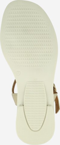 Apple of Eden Sandalen met riem 'Ayla' in Beige