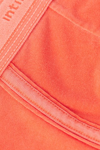 INTIMISSIMI Boxer shorts in Orange