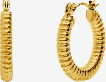 Lucardi Ohrringe 'Münze' in Gold: Vorderseite