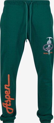 Loosefit Pantaloni 'Aspen' di 9N1M SENSE in verde: frontale