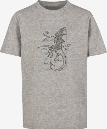 F4NT4STIC Shirt 'Harry Potter Dragon' in Grijs: voorkant
