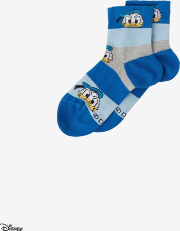 CALZEDONIA Socks in Blue: front