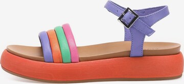 INUOVO Strap Sandals in Purple