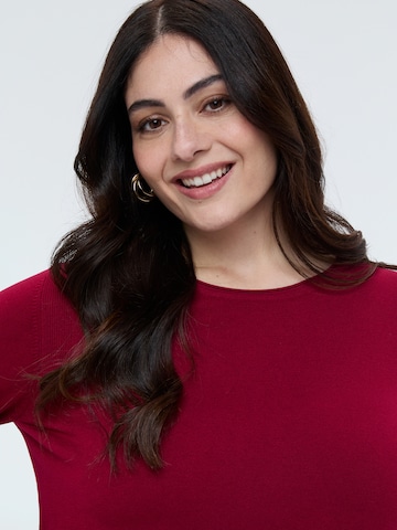 Pullover di Fiorella Rubino in rosso