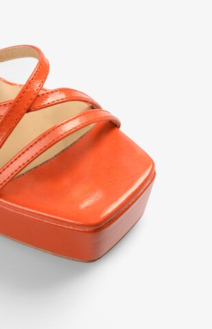 Sandalo di Scalpers in arancione