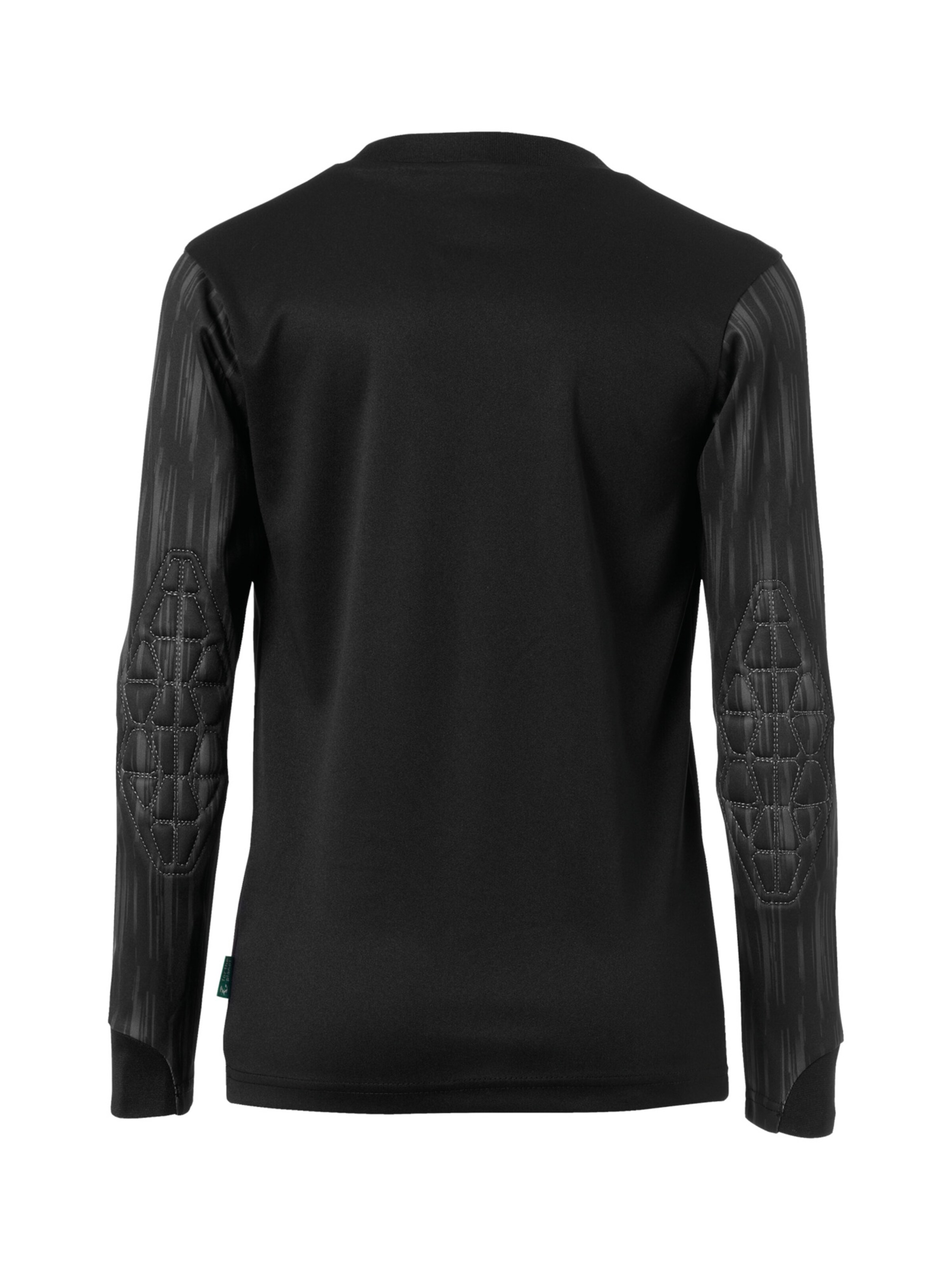 UHLSPORT Tracksuit 'Reaction Goalkeeper' in Black