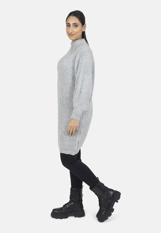Elara Knit dress in Grey