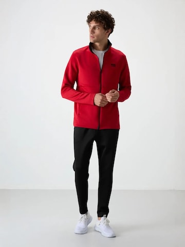 Survêtements Tommy Life en rouge : devant