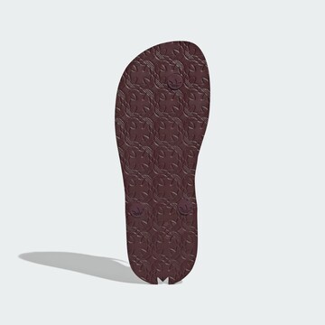 Tongs 'Adi Sun' ADIDAS ORIGINALS en rouge