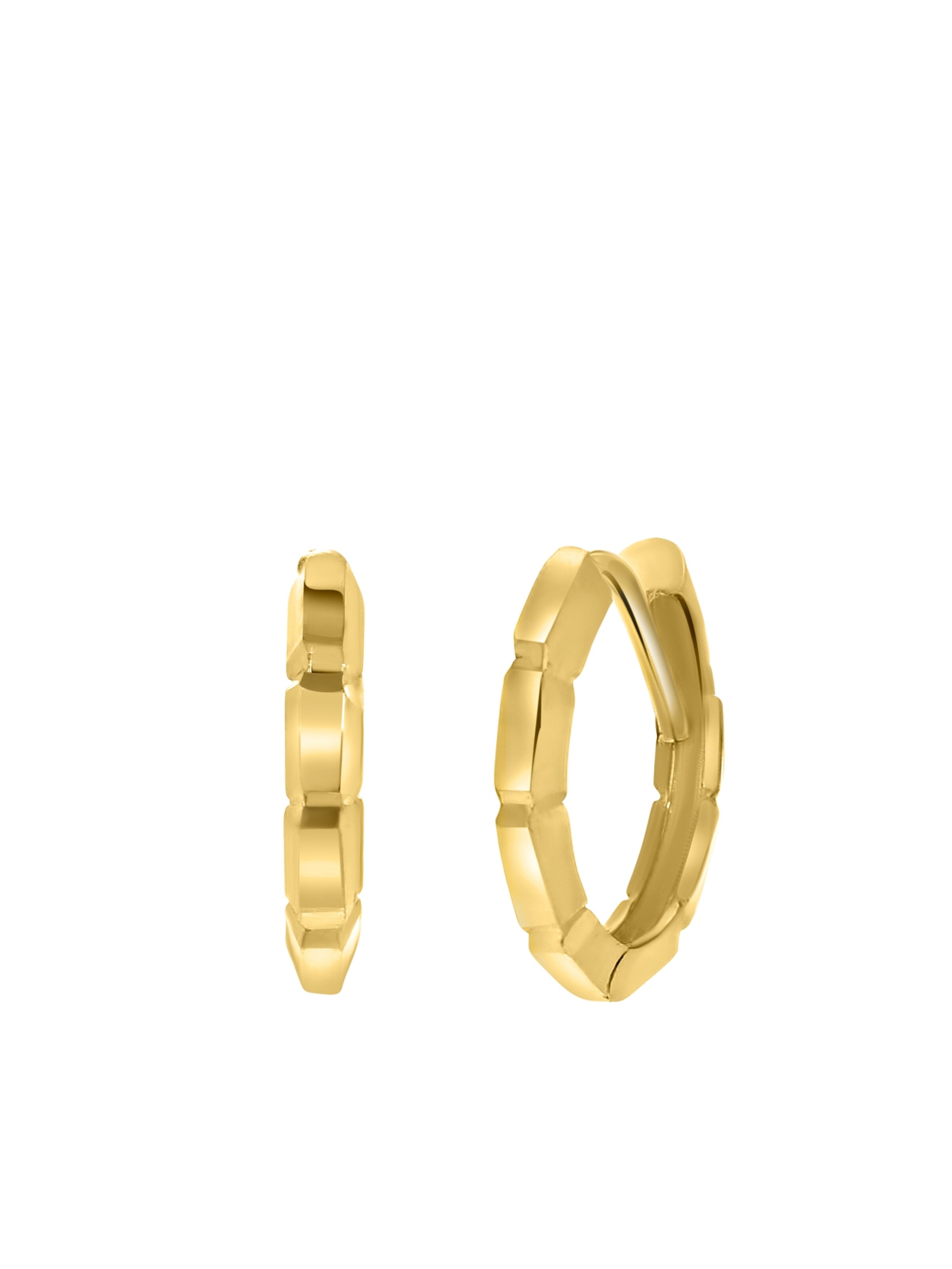 Lucardi Earrings in Gold: front