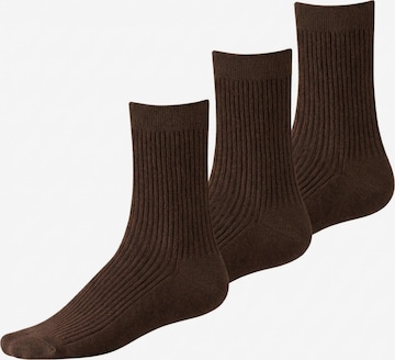 Millo Socks 'Cosy Steps' in Brown: front