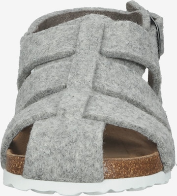 Pantoufle SHEPHERD en gris