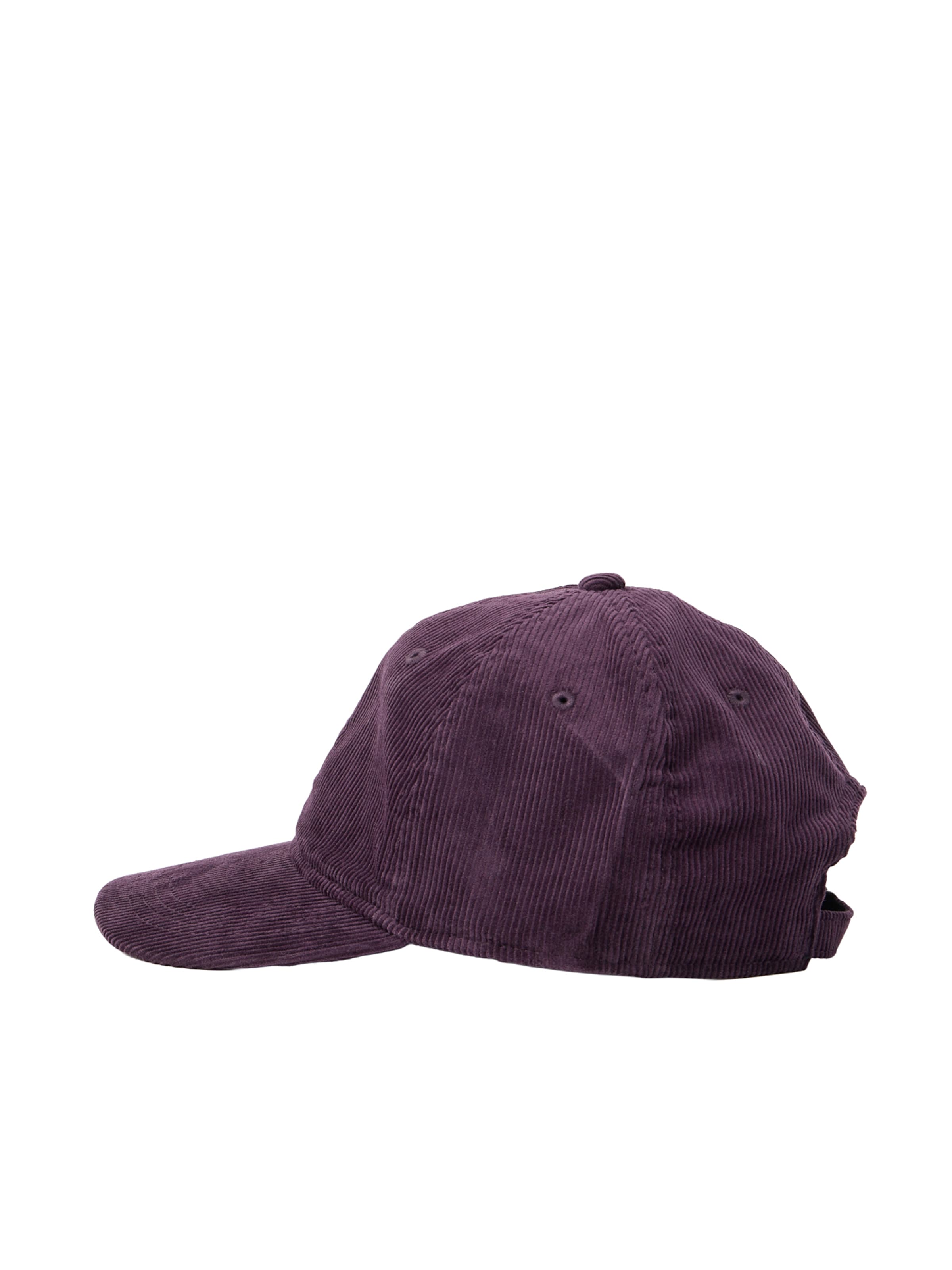 Carhartt WIP Czapka z daszkiem 'Harlem' w kolorze fioletowy: przód