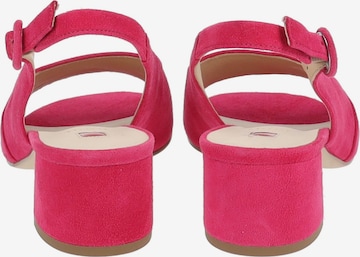 Högl Sandalen met riem in Roze