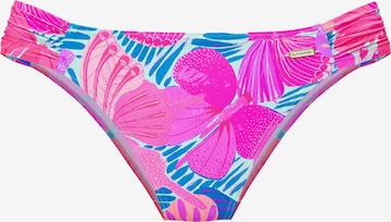 SUNSEEKER Bikinitrusse i pink: forside