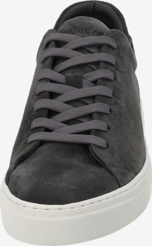 Baskets basses 'Rolladon' Palado en gris