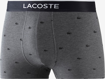 LACOSTE Regular Boxer shorts in Mixed colours