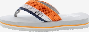 U.S. POLO ASSN. Zehentrenner 'Hank' in Grau: Vorderseite