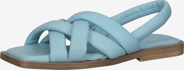 ILC Sandals in Blue: front