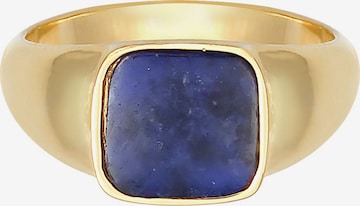 ELLI PREMIUM Ring in Goud