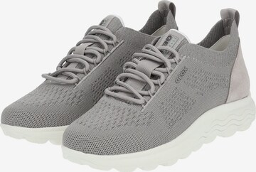 Sneaker bassa 'Spherica' di GEOX in grigio