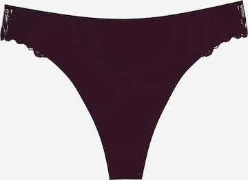 TRIUMPH String ' Red Label Pretty Micro ' in Braun: Vorderseite