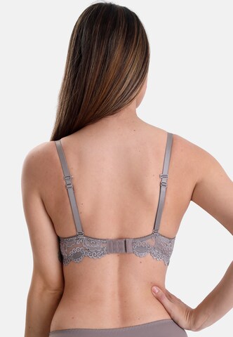 sassa T-shirt Bra 'CLASSIC LACE' in Brown