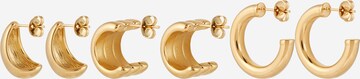 ALDO Earrings 'LECLUYSE' in Gold