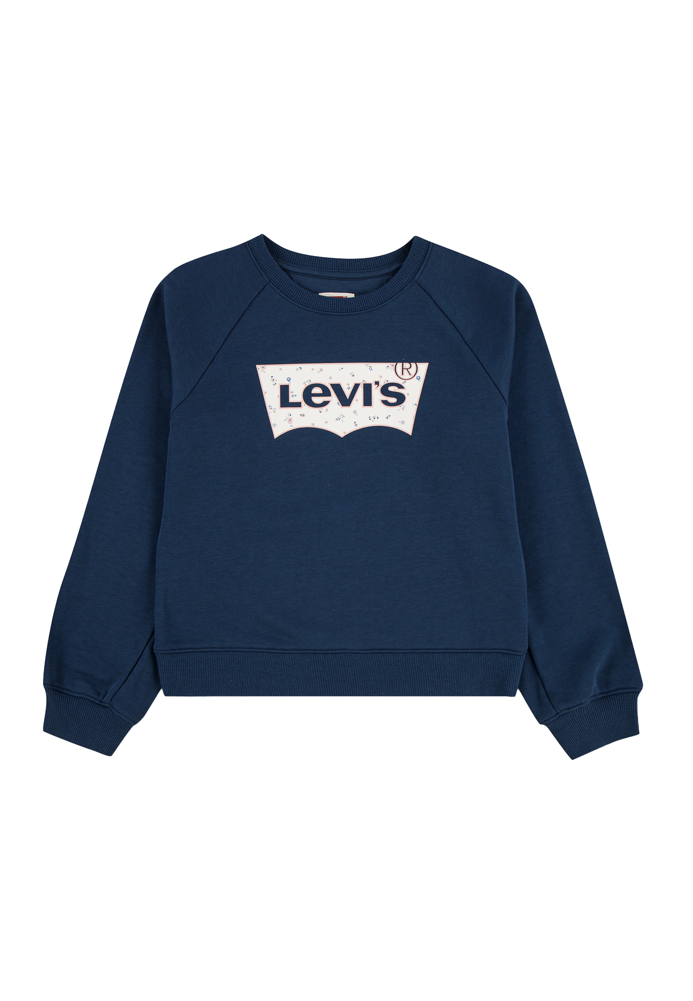 Levi's Kids - Sudadera en azul: frente
