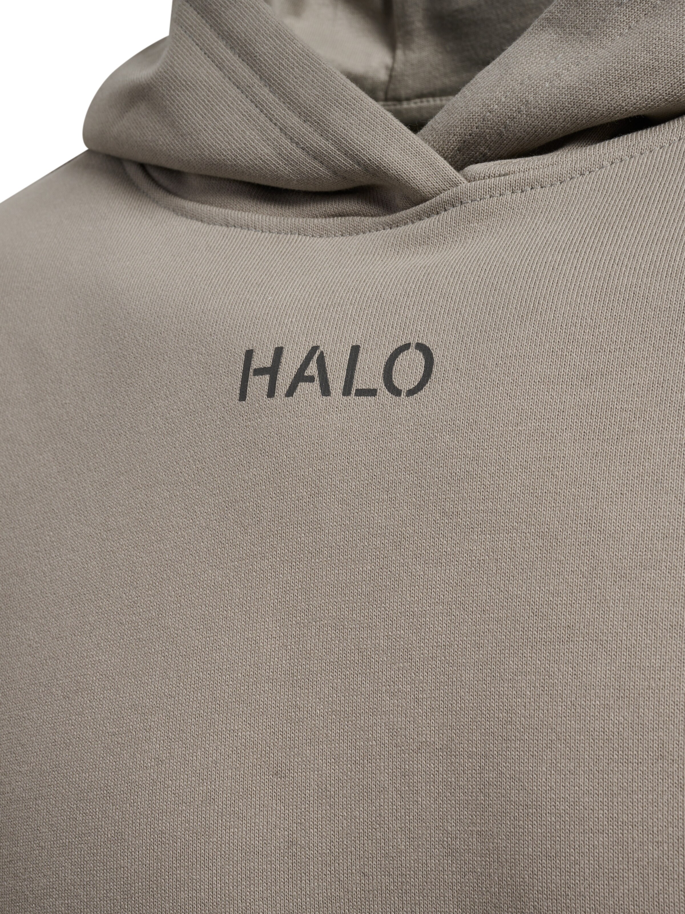 HALO Sweatshirt in Grau
