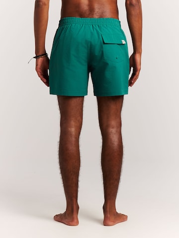 PROTEST Swimming shorts 'PRTAgden' in Green