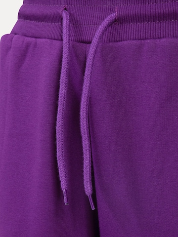 Smilodox Regular Broek in Lila