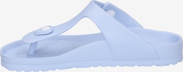Westland T-Bar Sandals 'Martinique 02' in Blue