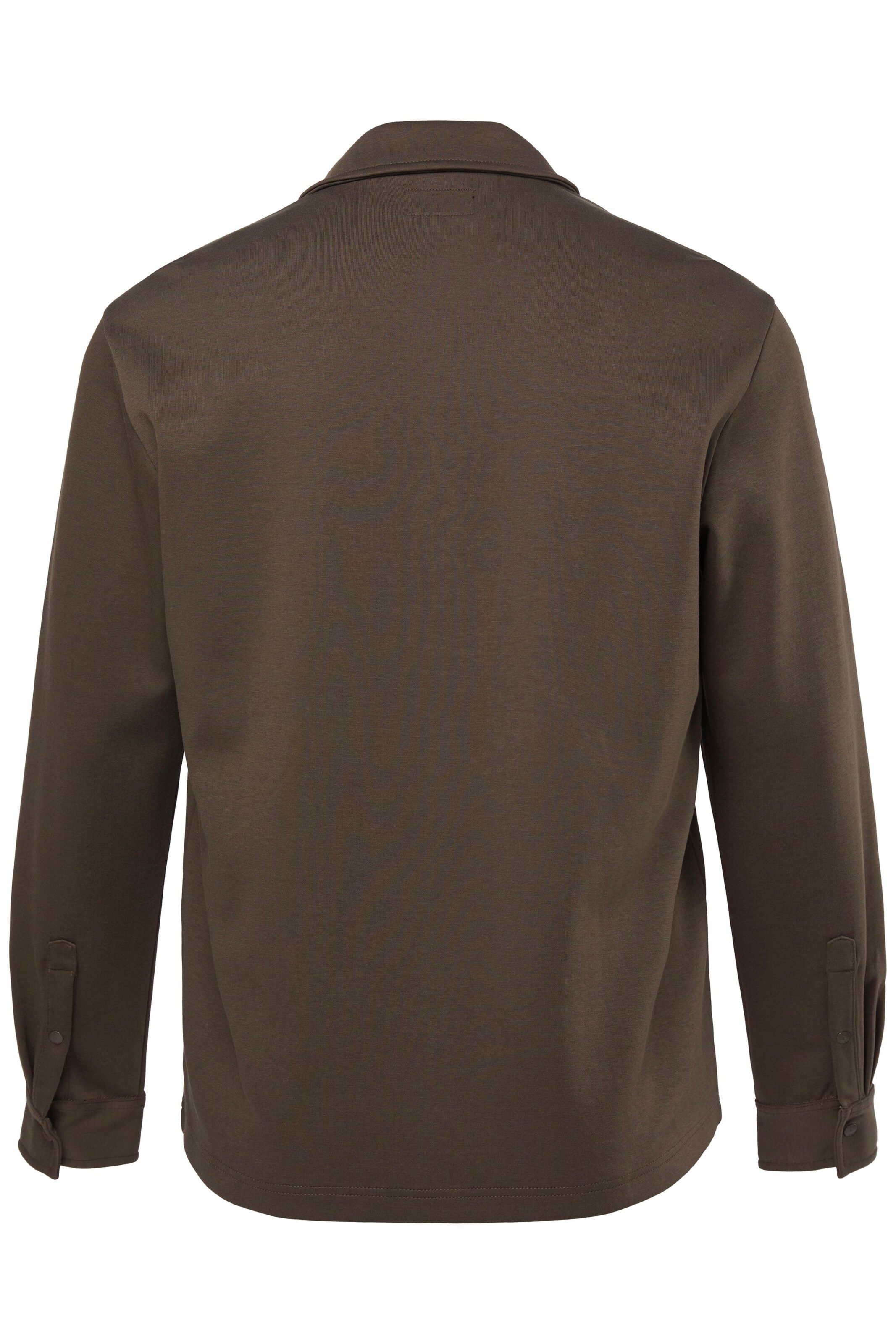 Men Plus Regular Fit Hemd in Grün