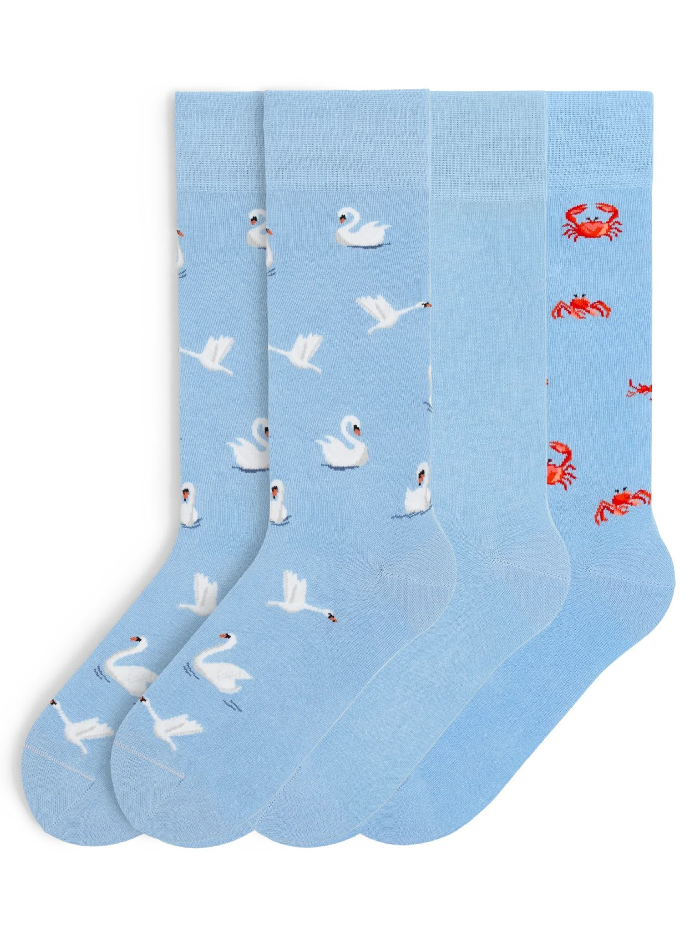 Von Jungfeld Socks 'Classic & Icons Socken Bundle' in Blue: front