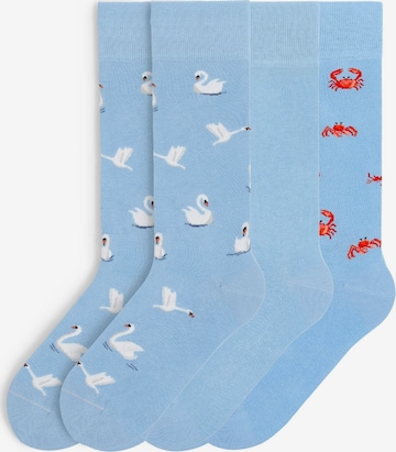 Von Jungfeld Socken 'Classic & Icons Bundle' in Blau: Vorderseite
