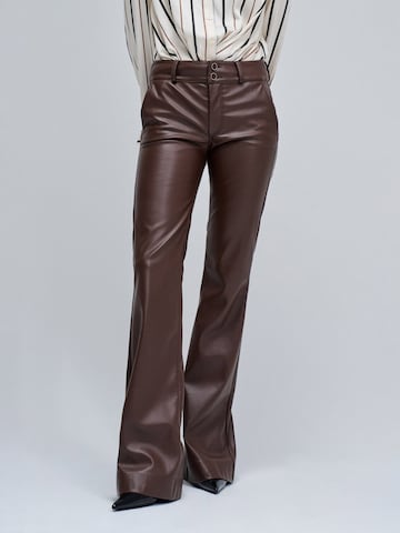Salsa Jeans Flared Broek 'Secret' in Bruin: voorkant