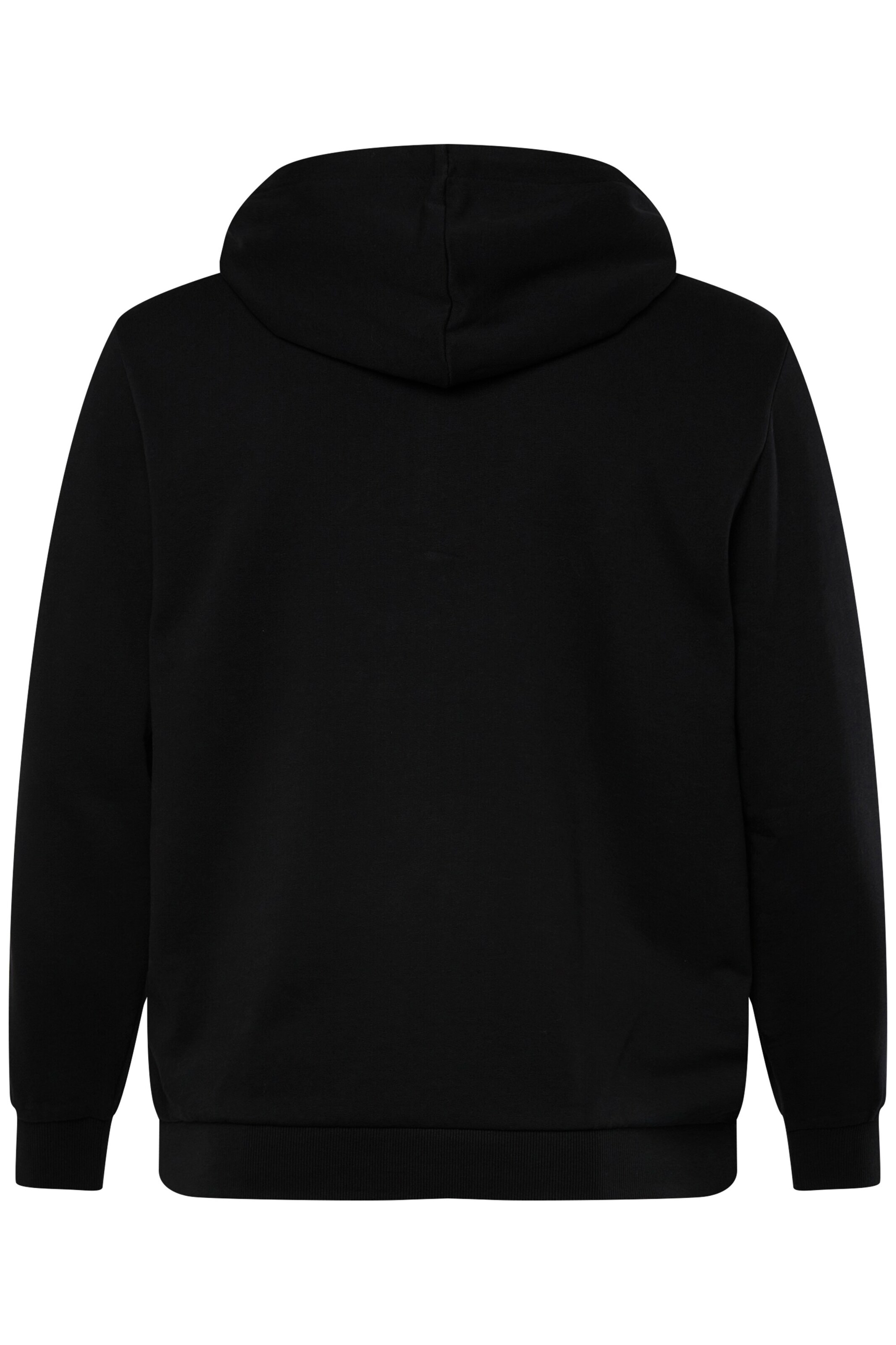 Men Plus Sweatshirt in Black