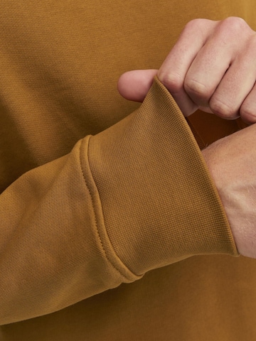 R.D.D. ROYAL DENIM DIVISION Sweatshirt i brun