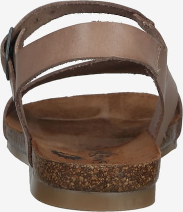 COSMOS COMFORT Sandalen met riem in Bruin