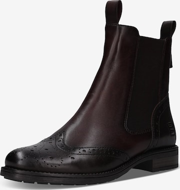 TT. BAGATT Chelsea Boots in Braun: Vorderseite