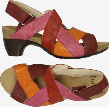 THINK! Sandals & High-Heeled Sandals in 38 in Mixed colors: front
