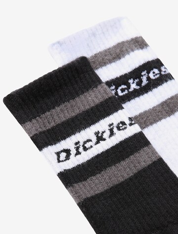 DICKIES Къси чорапи 'Genola' в черно