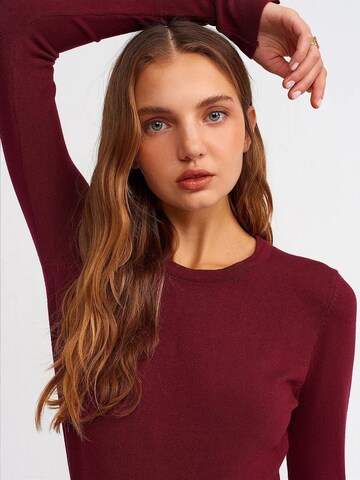 Dilvin Kampsun 'Pullover', värv punane