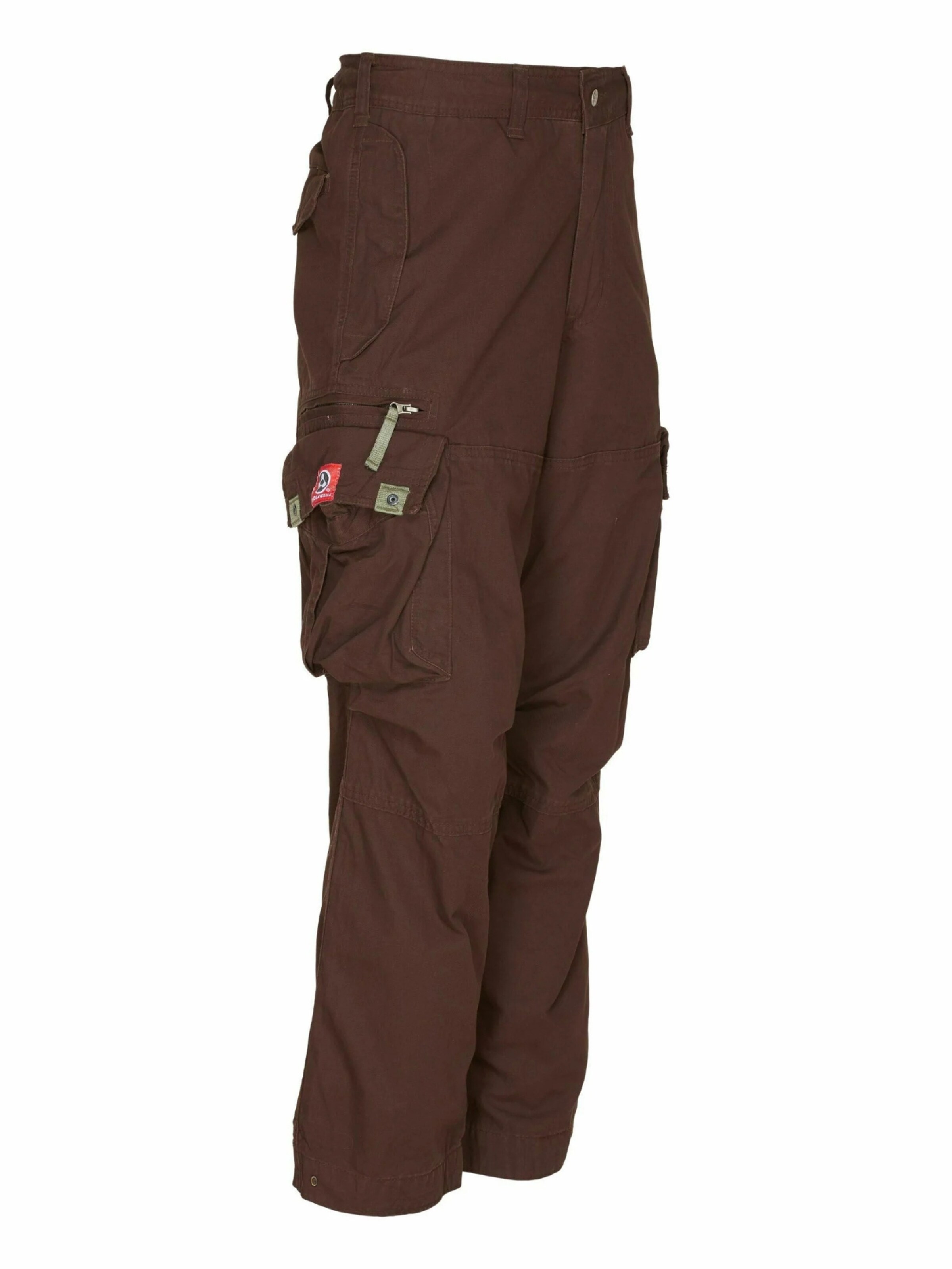 Regular Pantalon cargo 'BAGGY' Molecule en marron
