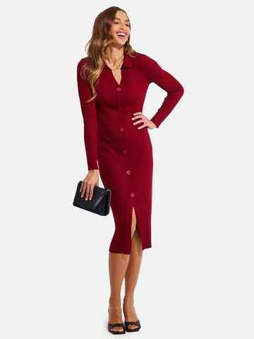 Threadbare Gebreide jurk 'Elm' in Rood: voorkant