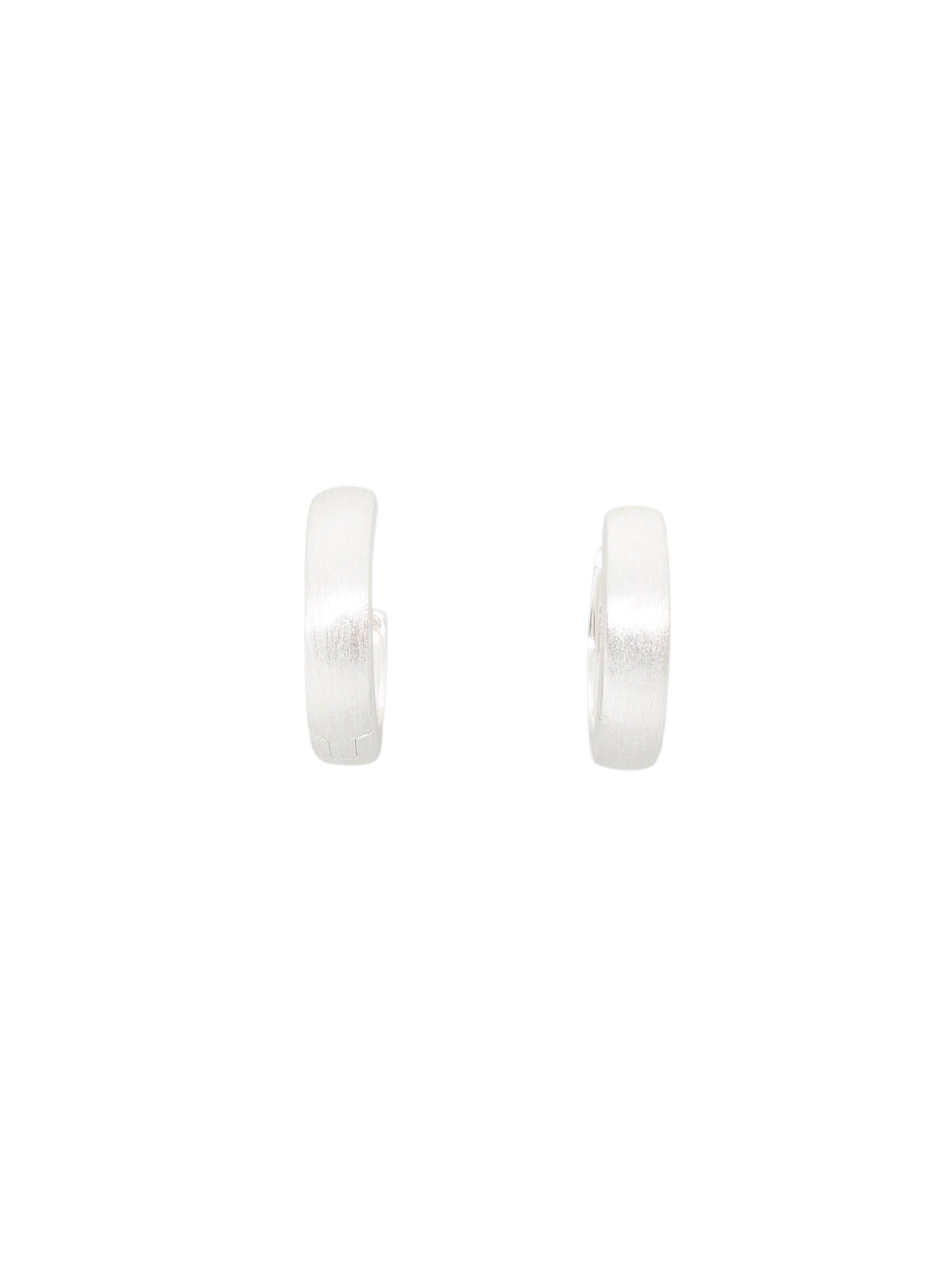 fejn Earrings in Silver