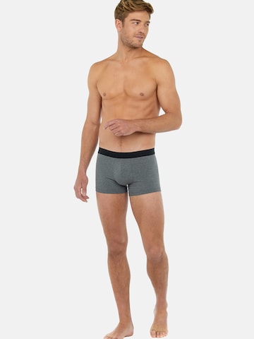 HOM Boxershorts ' Boxer Tonal Pack No2 ' in Blauw