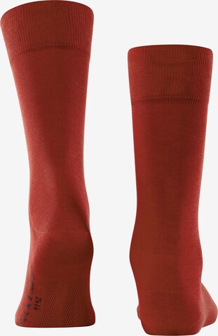 FALKE Socken in Rot